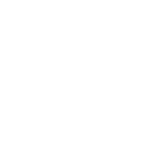 13-Suzuki